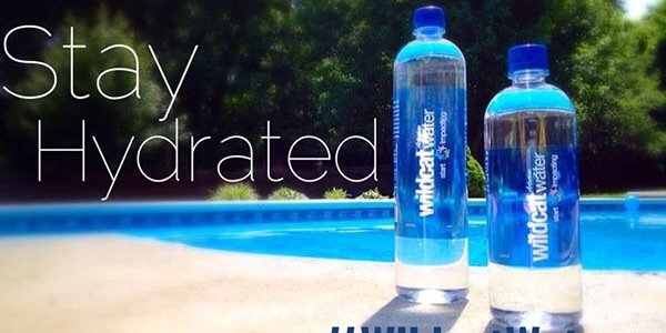 Wildcat Water banner