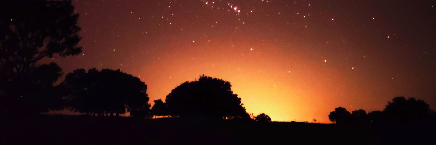 Bibfortunamelt's profile banner image