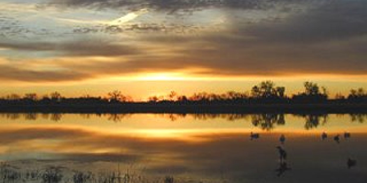 Matt_Wessels09's profile banner image