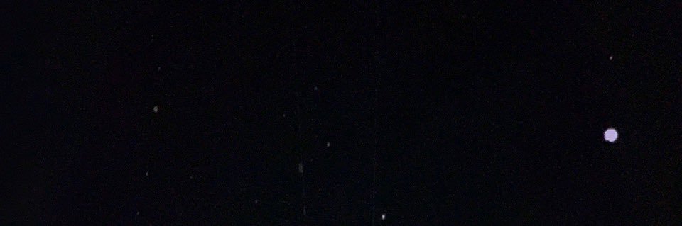 JL🍄 banner