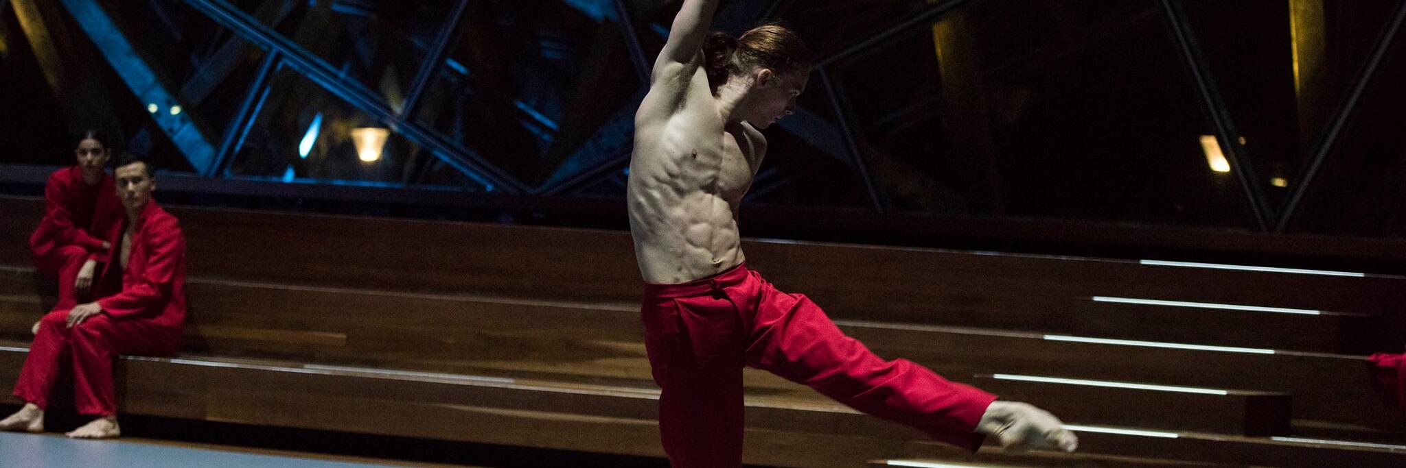 PROJECTionDance's profile banner image