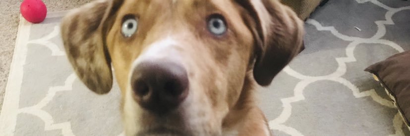 dmhoffer1's profile banner image