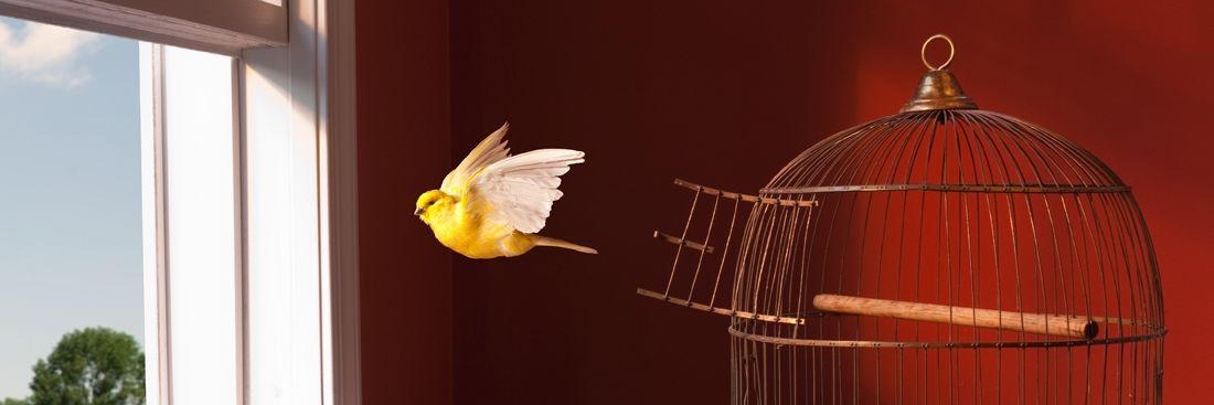 Claukintsugi's profile banner image