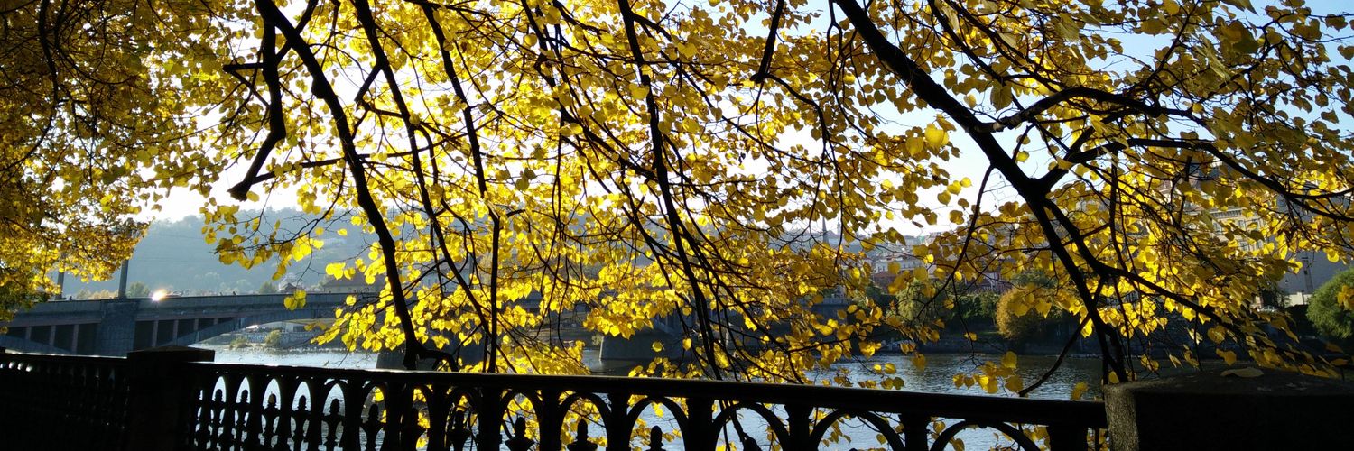 arungvsk's profile banner image