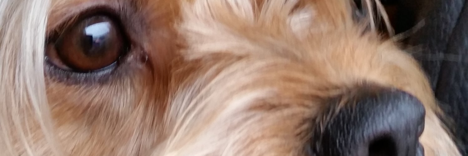 Doreen banner