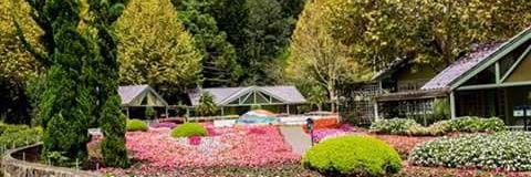 Tesza_15's profile banner image