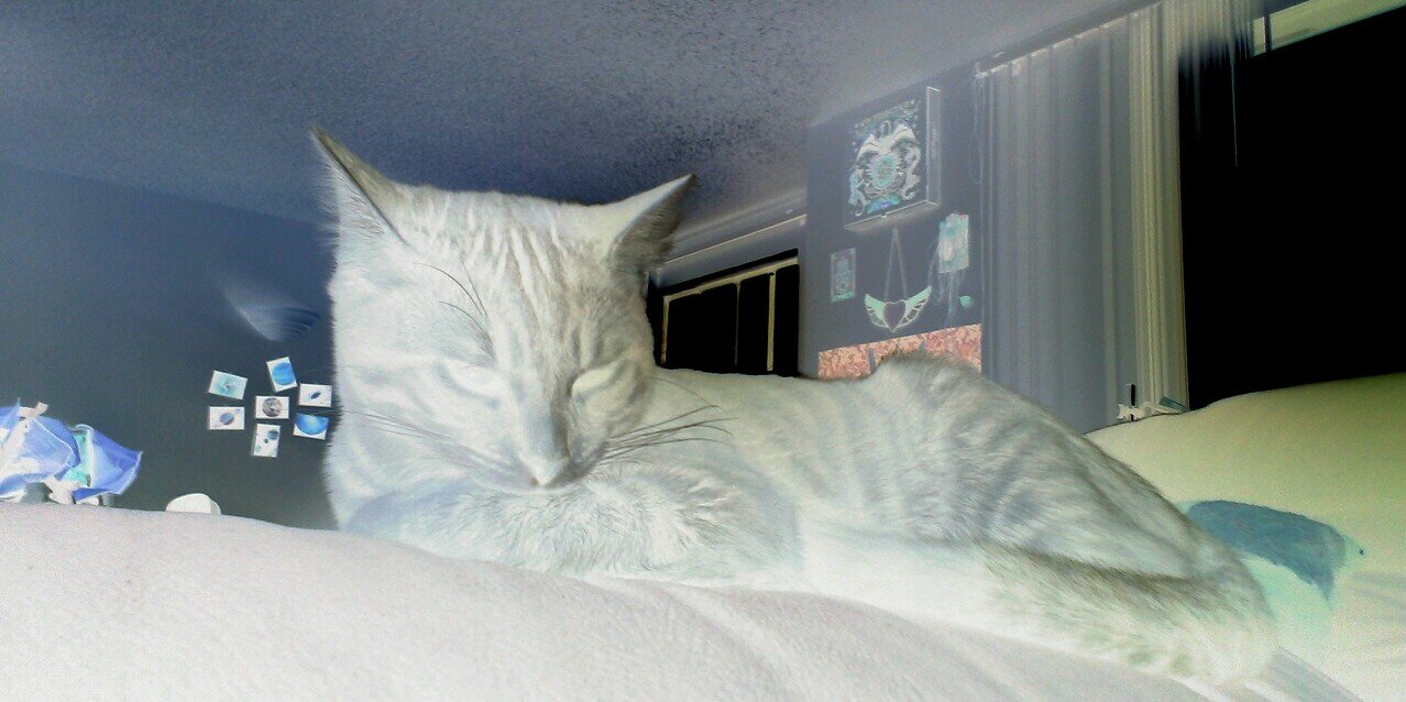 The Avatar of Sleep banner