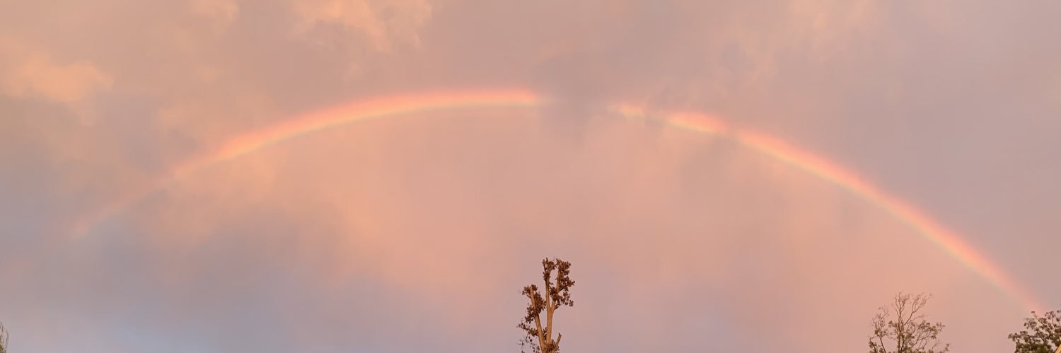 simplybridgett's profile banner image