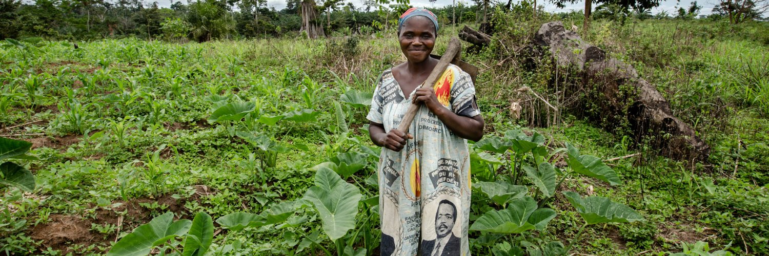 Cuso International banner
