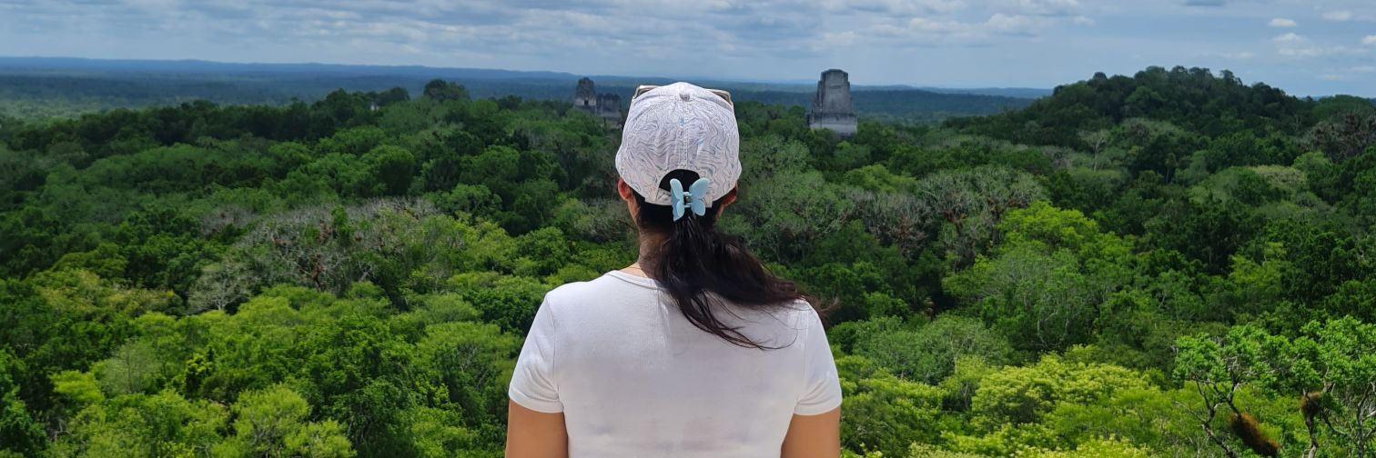 MariposaTello's profile banner image