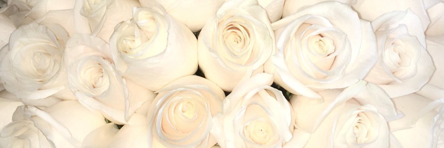 babbystas's profile banner image