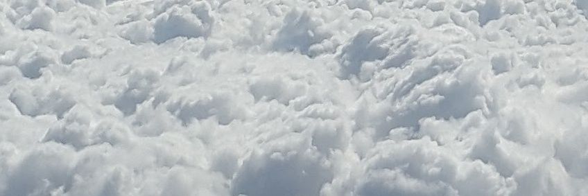 ziphob's profile banner image