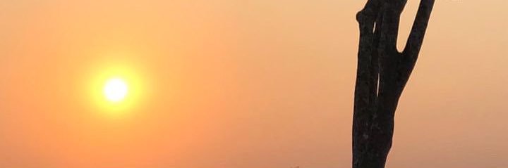 ssekarayy's profile banner image