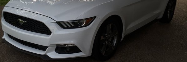 carlospaz2016 Profile Banner