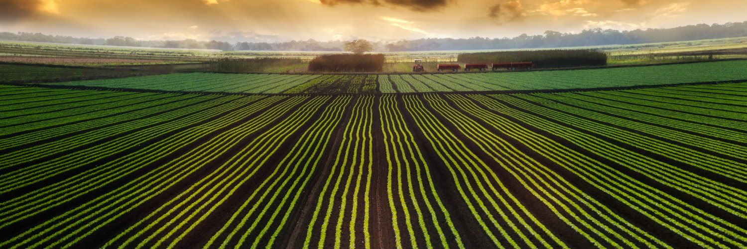 Farm Foundation banner