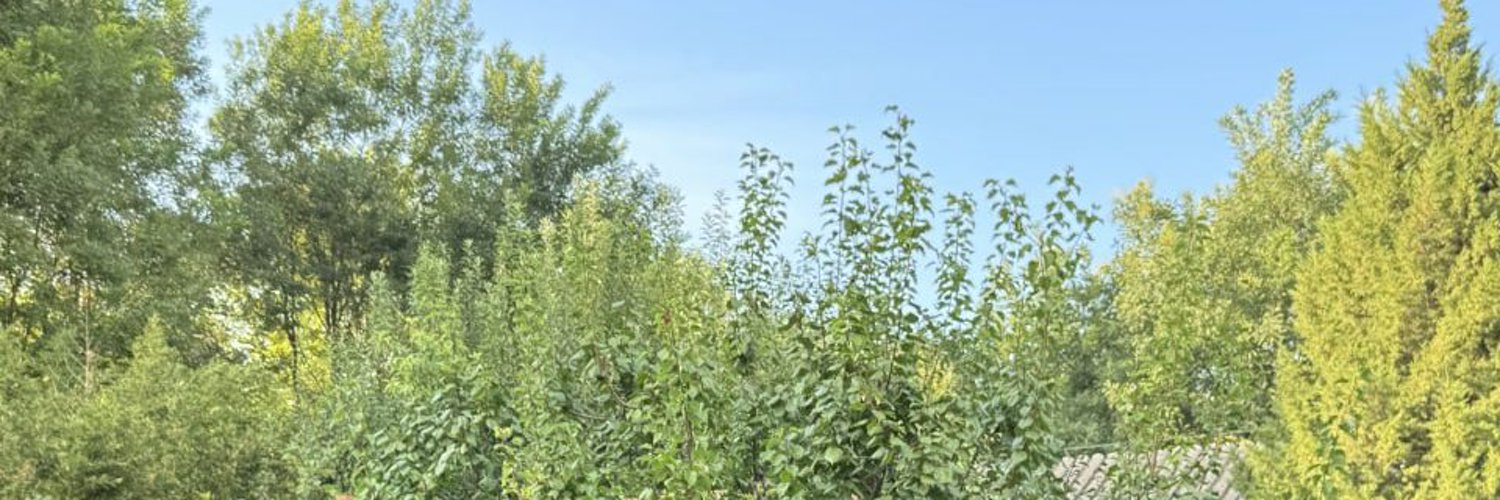 albertoEOI's profile banner image