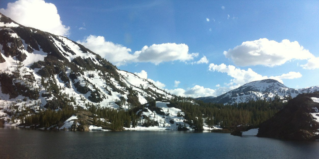 Shawn Gillespie II banner