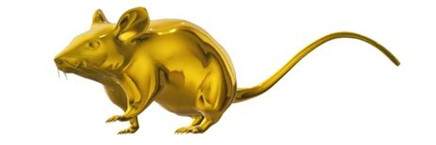 QuantResearchTA's profile banner image