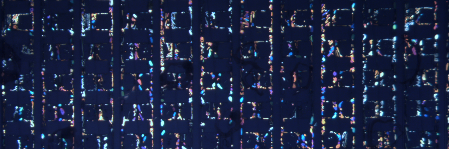 Sarah Perry (she/her) banner