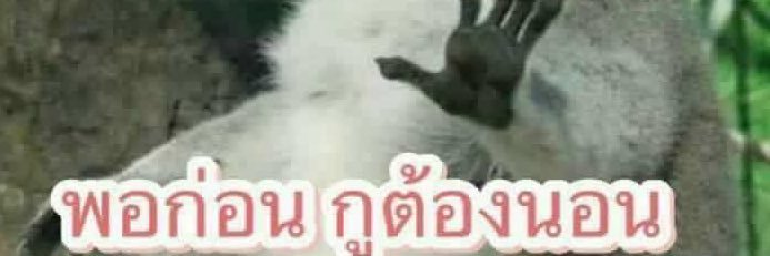 ThittaFirst's profile banner image