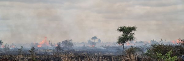 BrigitteGeoPhD Profile Banner