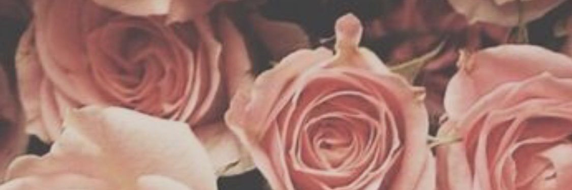 lanadelreybirdy's profile banner image