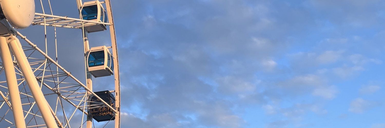 Mirva Sandström banner