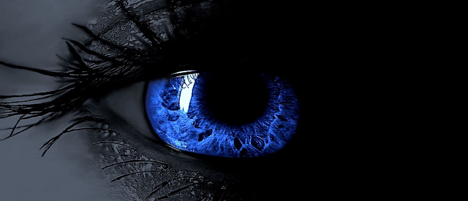 CiriusDrake's profile banner image
