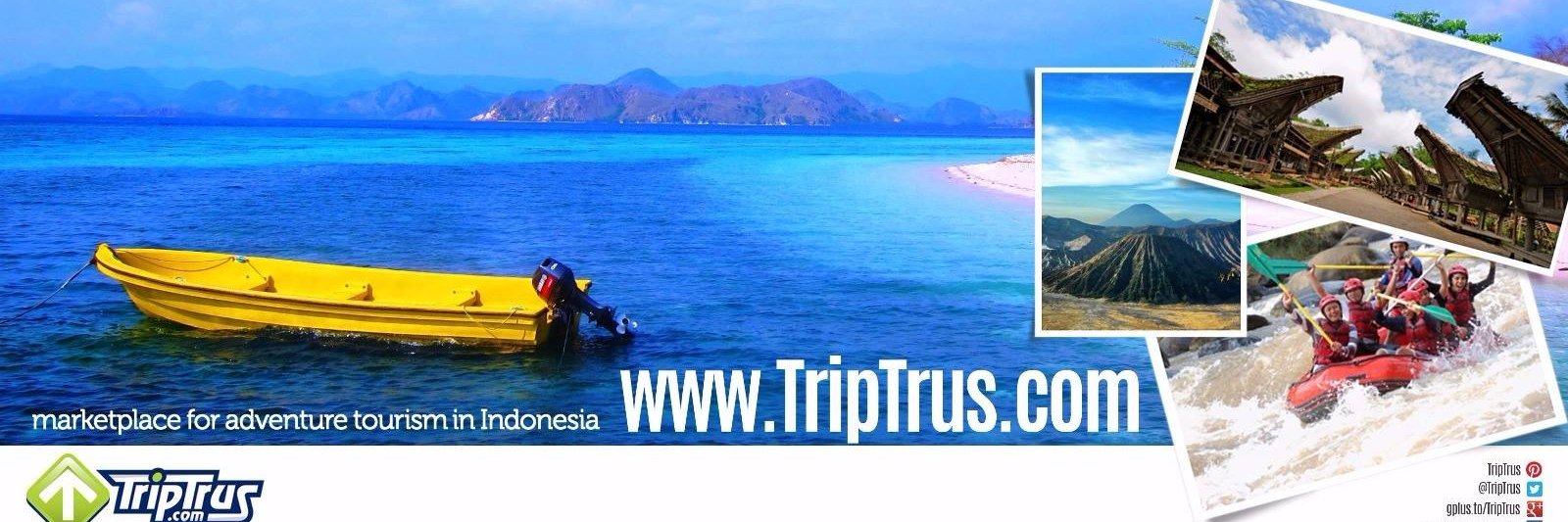 TripTrus.Com banner