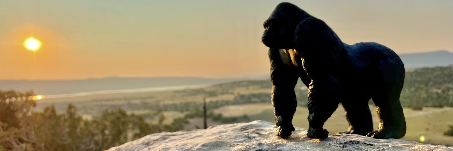 Kalvin_Hobbs's profile banner image