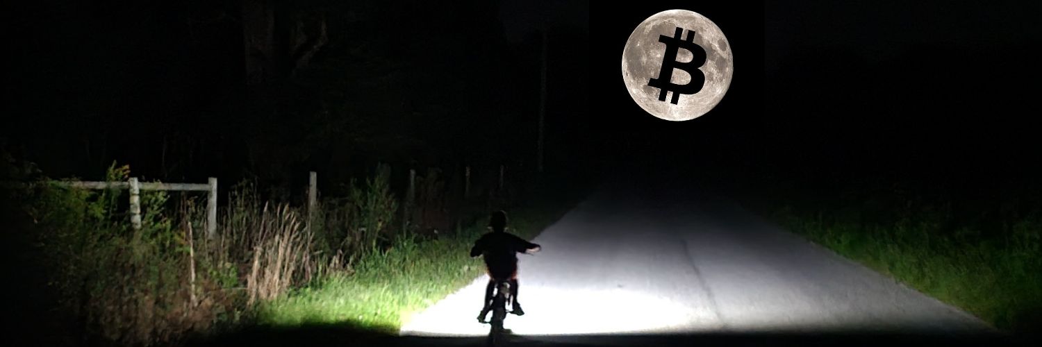 Bohemian🌋⚡️🦡 banner
