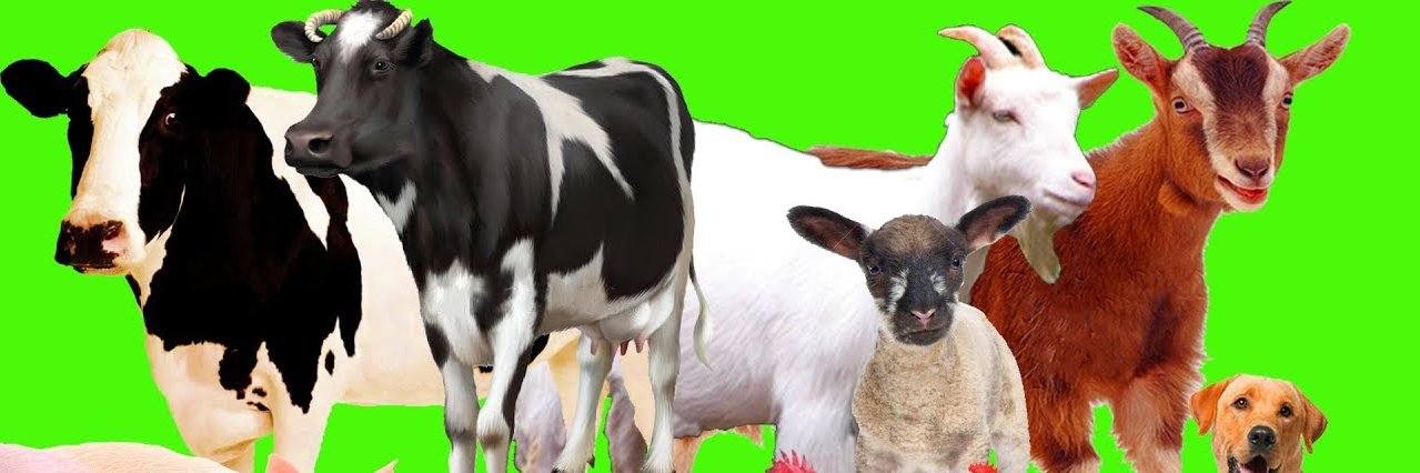 ilyaskucu's profile banner image