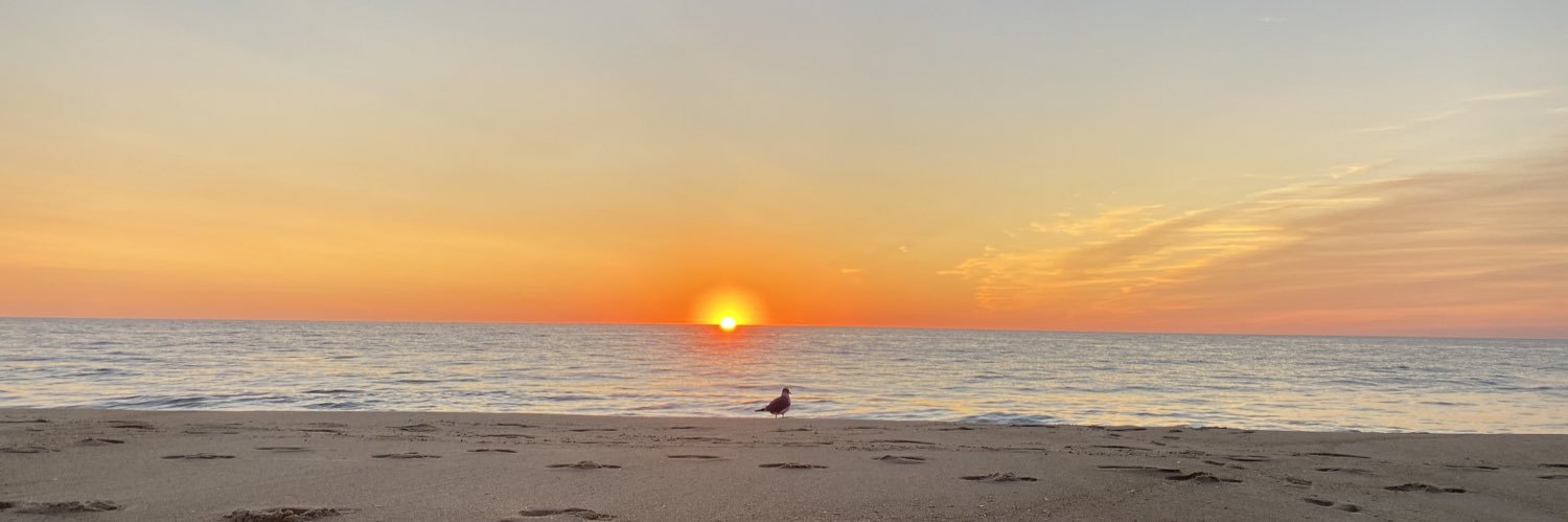 alex_longeway's profile banner image