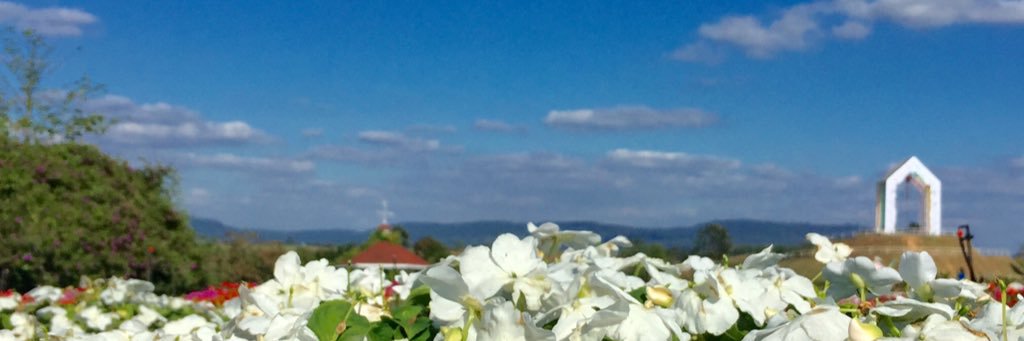 Watitpat's profile banner image