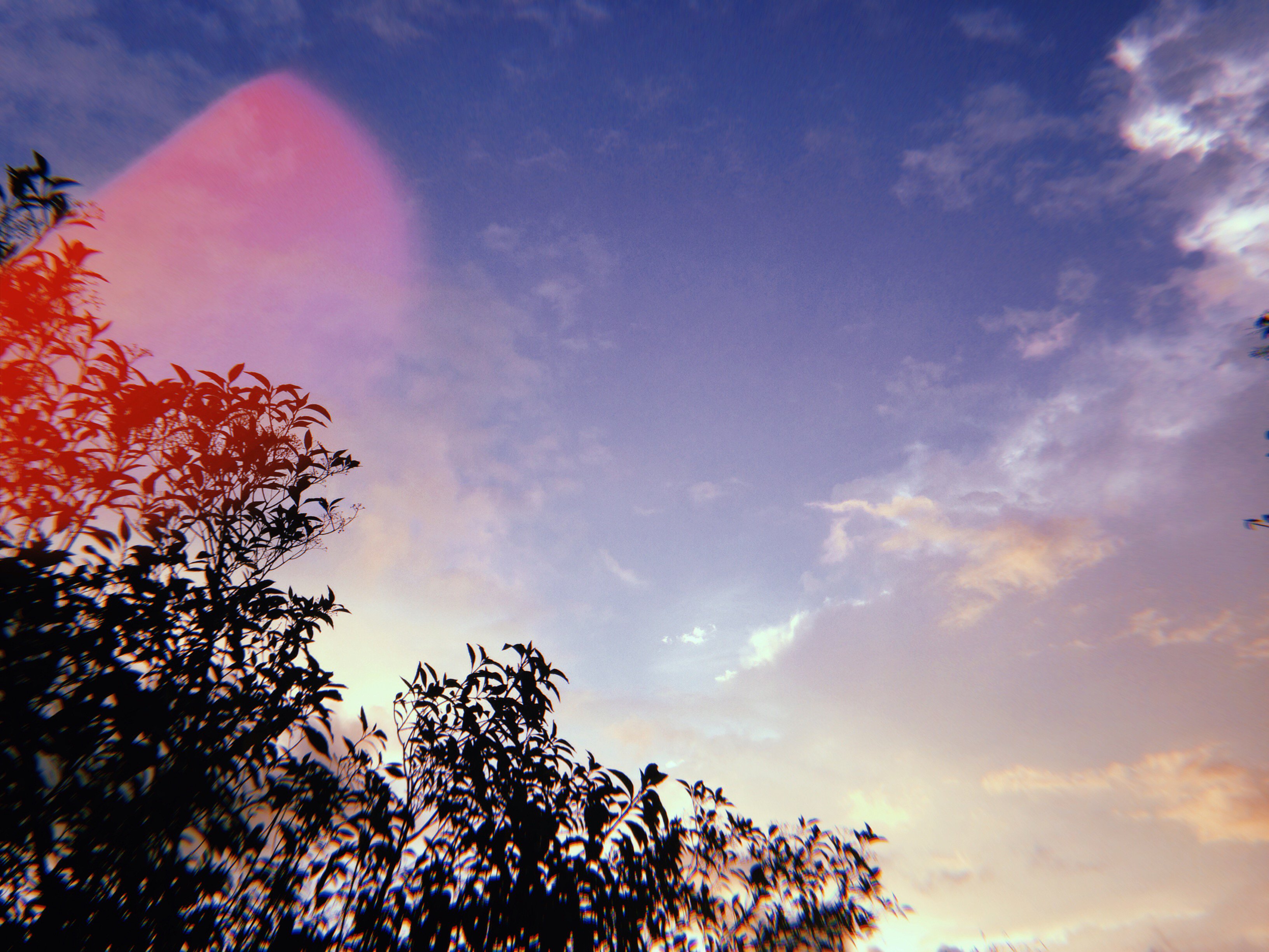 BellinlyGa's profile banner image
