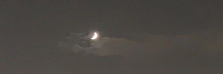 ‎شريس banner