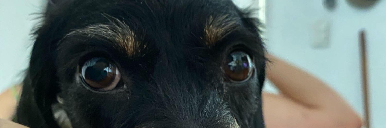 RoGutierrez14's profile banner image