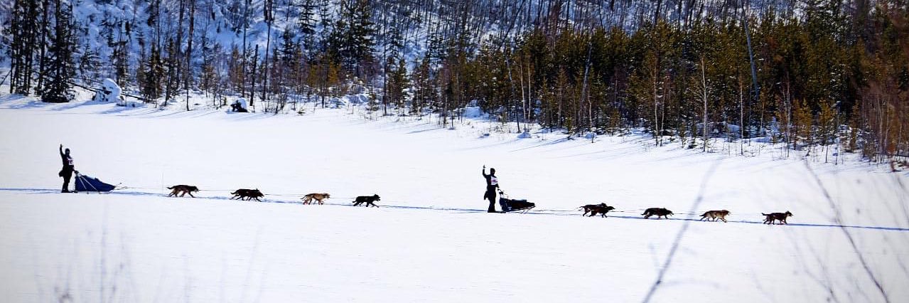 Garrick Schmidt banner