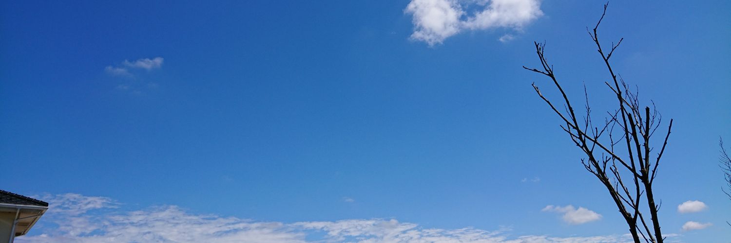 sora_csn's profile banner image