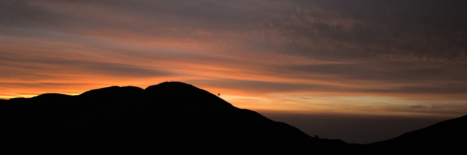 Richard Vidal banner