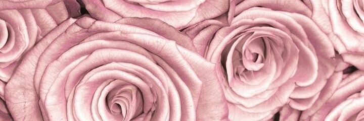 ijbolingmyself's profile banner image