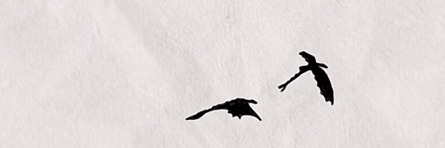 switsformytwit's profile banner image