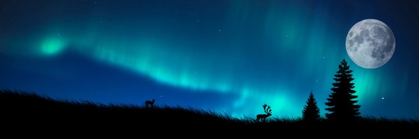 Revontulet69 Profile Banner