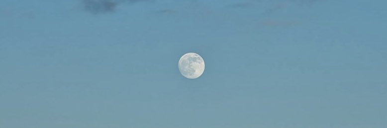 Loosexaf's profile banner image