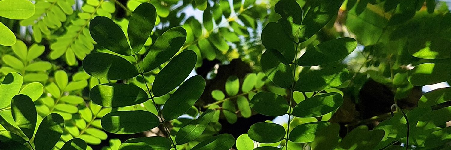 ArvindGilkinja's profile banner image