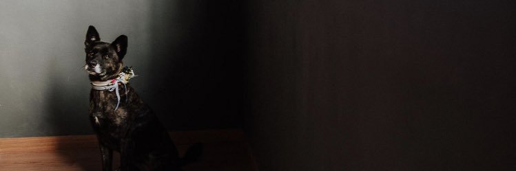 AinaPla's profile banner image