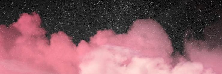 ImDemonRose's profile banner image