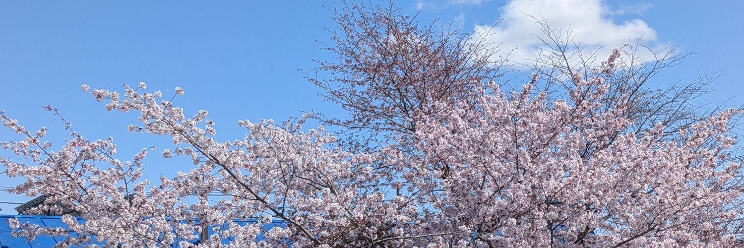 Birdkun68's profile banner image