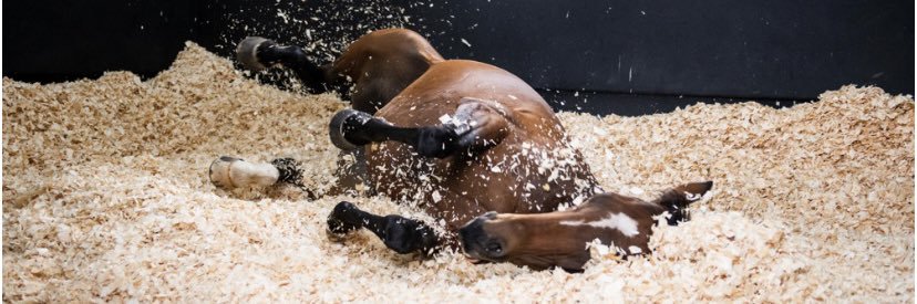 BoydBedding's profile banner image