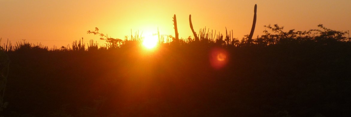 focusontop's profile banner image